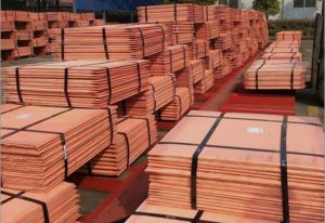 Copper Cathodes