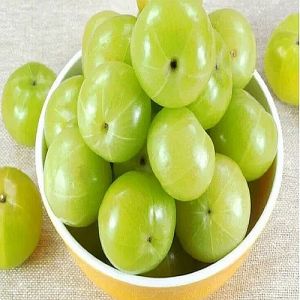 Premium A Grade Fresh Amla, Taste : Sour, Mildly Sweet