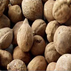 Dried Whole Baheda, Taste : Astringent, Mildly Bitter