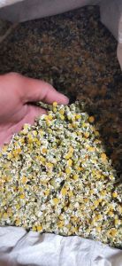 Chamomile Flower, Color : Yellow, Packaging Type : Resealable Bag