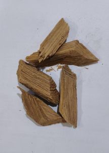 Devadaaroo Shanku, Color : Brown, Packaging Type : Bulk