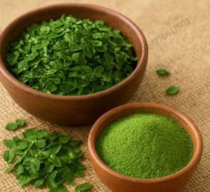 Organic Dry Moringa Leaves for Ayurvedic, Medicine, Cooking