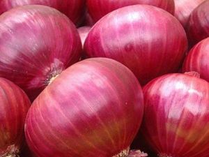 Pink Onions