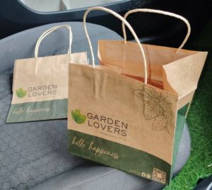 Printed Paper Carry Bags, Packaging Type : Brown