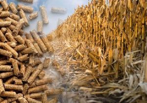 Corn COB Biomass Briquettes Corn COB Biomass Briquettes