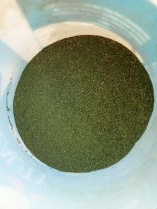 organic moringa powder