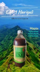 Maple Em1 Hariyali, Color : Brown, Form : Liquid