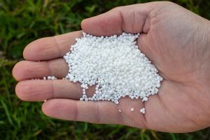 1Kg Calcium Nitrate Fertilizer, Color : White