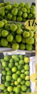 Natural Fresh Lemons, Packaging Size : standard export carton