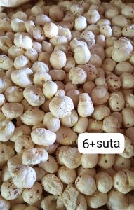 Makhana 6+ Suta