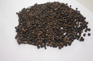Organic Black Pepper, Brand Name : Majestine Global, Form : Solid