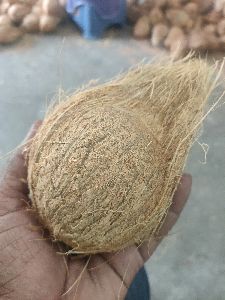 Semi Husked Coconut