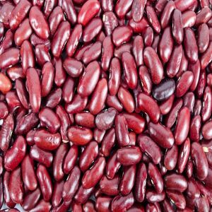 A Grade Red Rajma, Purity : 99.9%, Certification : FSSAI Certified