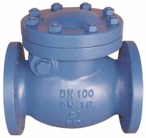 Check Valves