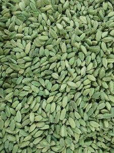 Green Cardamom,  Purity : 100%