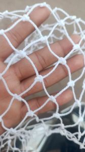 5 Years Warranty Anti Birds Safety Nets
