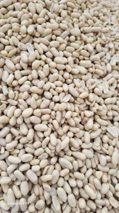 Whole Without Skin Blanched Peanuts