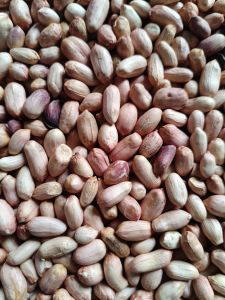 Natural Raw Java Peanuts, Shape : Smaller & Rounder