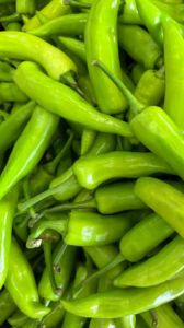 Fresh Green Chilli for Spices, Cooking, Grade Standard : Food Grade