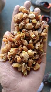 Mahua Phool Mahua Phool