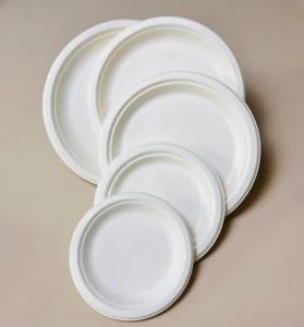 Round Sugarcane Bagasse Disposable Plate