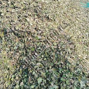 Dried Centella Asiatica Leaves, Color : Green