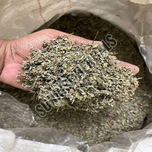 Dried Rama Tulsi Leaves for Tea Infusion, Culinary Purposes