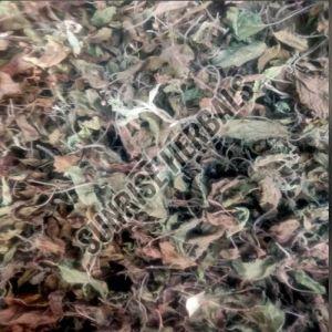 Dry Mentha Arvensis Leaves, Color : Light Green for Medicine