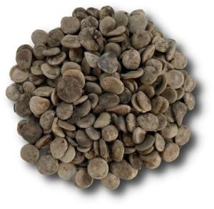 Dried Kuchla Seeds, Purity : 99%, Certification : FSSAI Certified