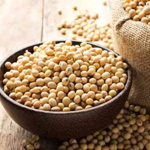 Guar Gum Seeds, Color : Brown, Packaging Type : Packet Packaging