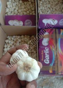 Fresh Ooty Garlic, Brand Name : Hadoti, Packaging Type : Gunny Bags