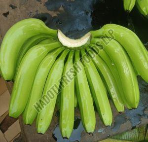 Premium G9 Cavendish Banana