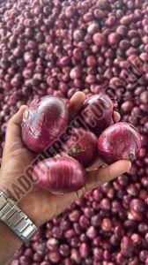 Hadoti Indian Red Onion Gunny Bag for Cooking