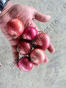 Hadoti A Grade Red Onion Gunny Bag for Cooking