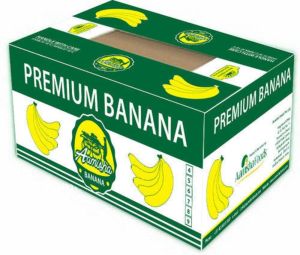 Green Natural Cavendish g9 Banana, Packaging Size : 14kg