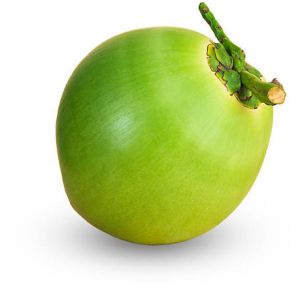 Coconut