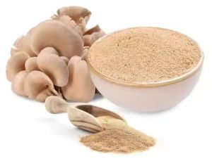 Earthy Flavor Mushroom Powder for Seasoning Blends