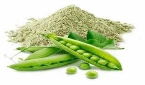 Green Peas Powder, Packaging Type : Long-lasting