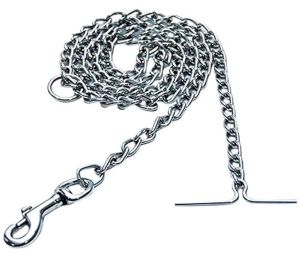 Dog Chain