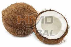 Coconut