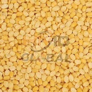 Yellow Split Moong Dal, Packaging Type : Packet, Purity : 99.9%