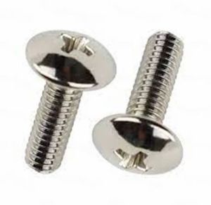 SS Phillips Truss Head Screw