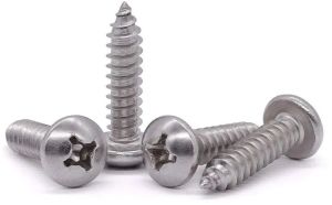 Stainless Steel Raised Head Screw, Drive Type : Slotted