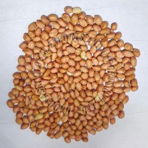 Natural Groundnut Seeds, Variety : Bold, Shelf Life : 6 Months