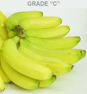Fresh Cavendish Bananas