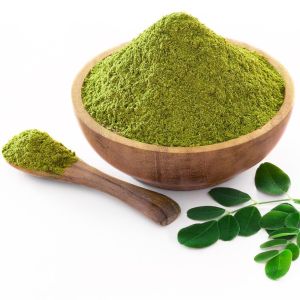 Raw Moringa Powder, Color : Green, Purity : 100%