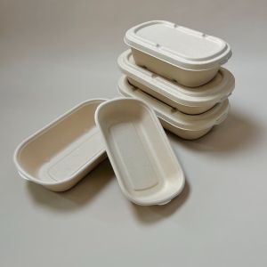 Biodegradable Sugarcane Bagasse Container with Lid