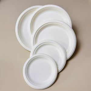 Disposable Plates