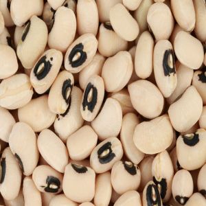 Hard Organic Black Eyed Beans, Purity : 100% for Cooking