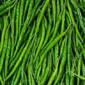 Organic Natrual Fresh G4 Green Chilli for Cooking